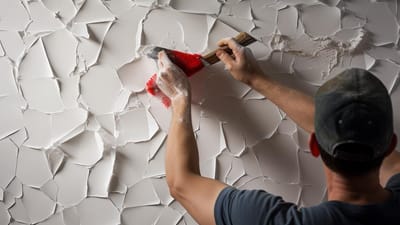 Best Practices for Removing and Reinstalling Your 3D Wallpapers