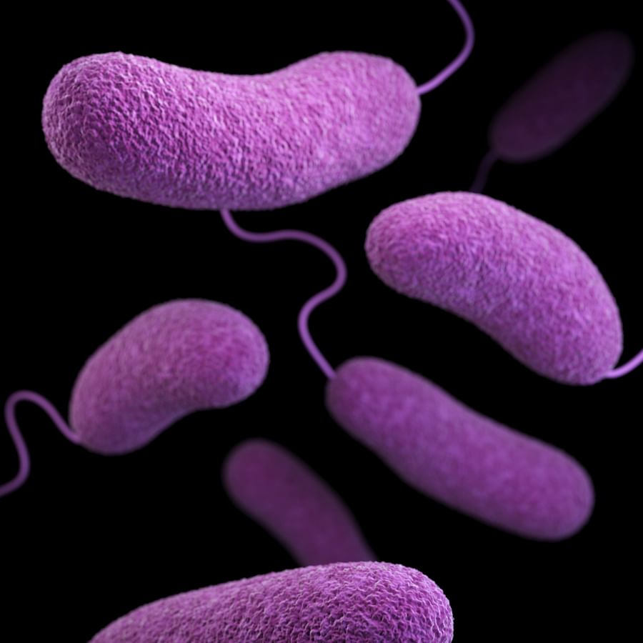 Elegant modern dining room with 3D wall panels