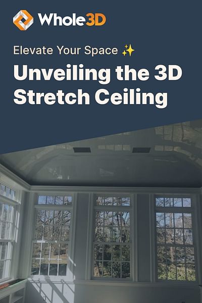 Unveiling the 3D Stretch Ceiling - Elevate Your Space ✨
